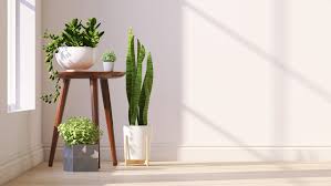 Gardenings